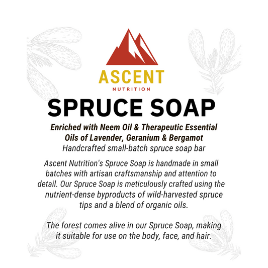 Wild-Harvested Spruce Soap, 6 oz Bar by Ascent Nutrition