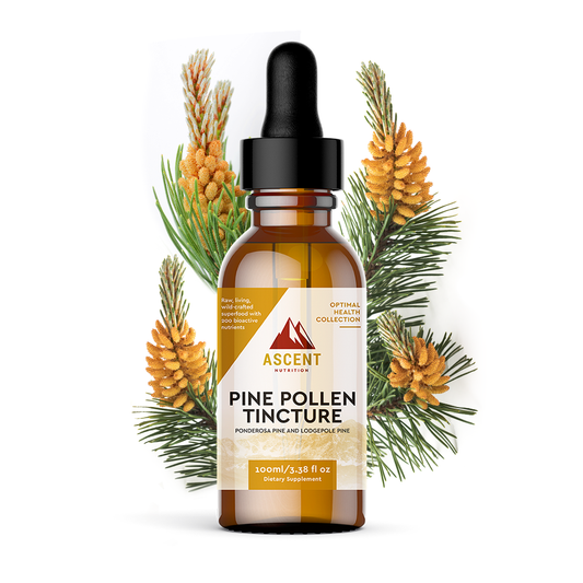 Wild-Harvested Pine Pollen Tincture, 335 mg by Ascent Nutrition