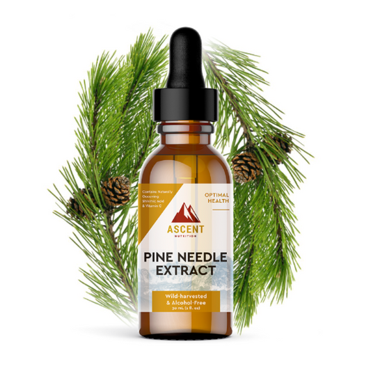 Pine Needle Extract, Pine Needle Tea Alternative, 267 mg by Ascent Nutrition