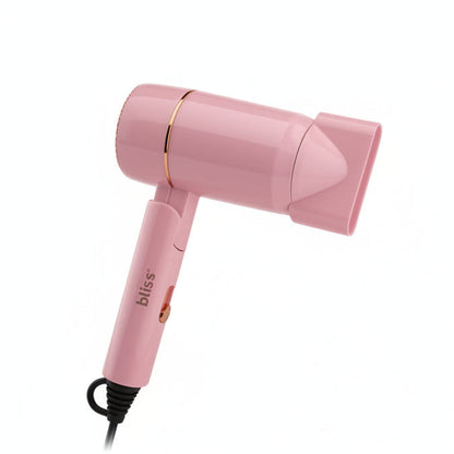 Professional Hair Dryer